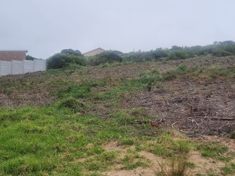 0 Bedroom Property for Sale in Dana Bay Western Cape